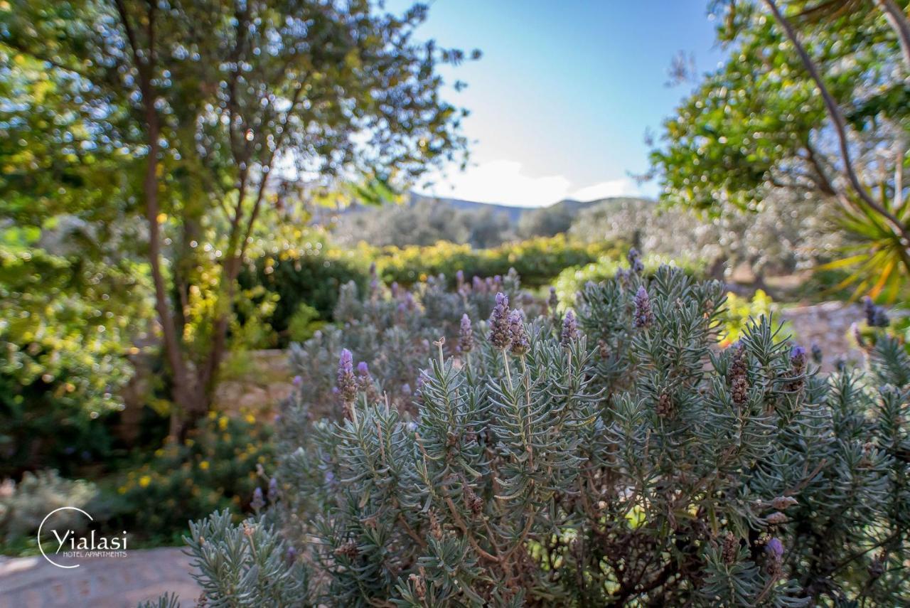 Yialasi Hotel Epidaurus Eksteriør billede